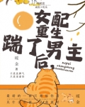 年代文女配重生后踹了男主