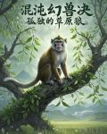 混沌兽值钱吗