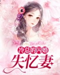 冷总的闪婚失忆妻