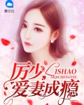 厉少爱妻成瘾