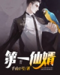 第一仙婿