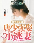 隐婚密爱:唐少强娶小逃妻