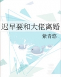 迟早要和大佬离婚
