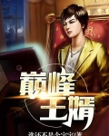 巅峰王婿