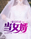 魔帝归来当女婿