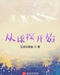 从球探开始