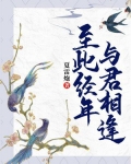 至此经年，与君相逢