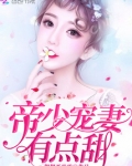 帝少宠妻有点甜