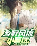 乡野风流小盲医