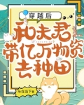 穿越后，和夫君带亿万物资去种田