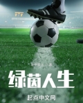 绿茵人生