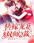 替嫁宠妻:我被双面总裁缠上了