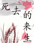 死去的来生