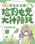 女主播和菜鸟玩游戏小说