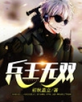 兵王无双