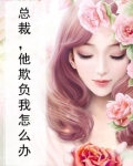 总裁，他欺负我怎么办