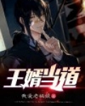 王婿当道