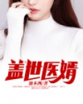 盖世医婿