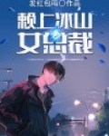 赖上冰山女总裁