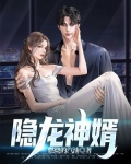 隐龙神婿
