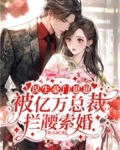 误生豪门崽崽,被亿万总裁拦腰索婚