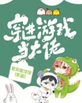 穿进游戏当大佬
