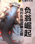 负翁崛起:我的负债成神之路