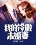 我的冷傲未婚妻