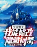 全能领主:我能修改隐藏词条