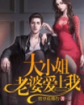 大小姐老婆爱上我