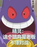 精灵：这个培育屋老板不懂对战