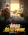 极品鉴宝神眼