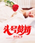 头号赘婿