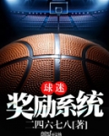 球迷奖励系统