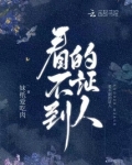 看不到的证人