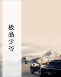 极品少爷