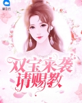 双宝来袭请赐教