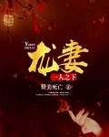 一人之下:龙妻