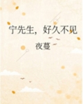 宁先生，好久不见