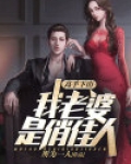 高手下山：我老婆是俏佳人