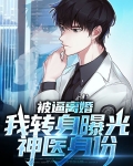 被逼离婚,我转身曝光神医身份