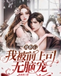 离职后,我被前上司无脑宠