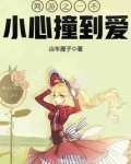 网游之一不小心撞到爱免费
