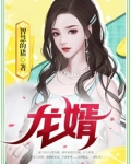 龙婿