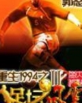 重生1994之足坛风云Ⅱ