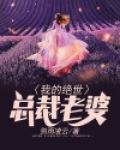 我的绝世总裁老婆