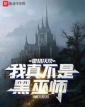 霍格沃茨:我真不是黑巫师