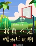 我真不是嘴炮巨星啊