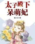 太子殿下呆萌妃
