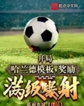开局哈兰德模板，奖励满级爆射！